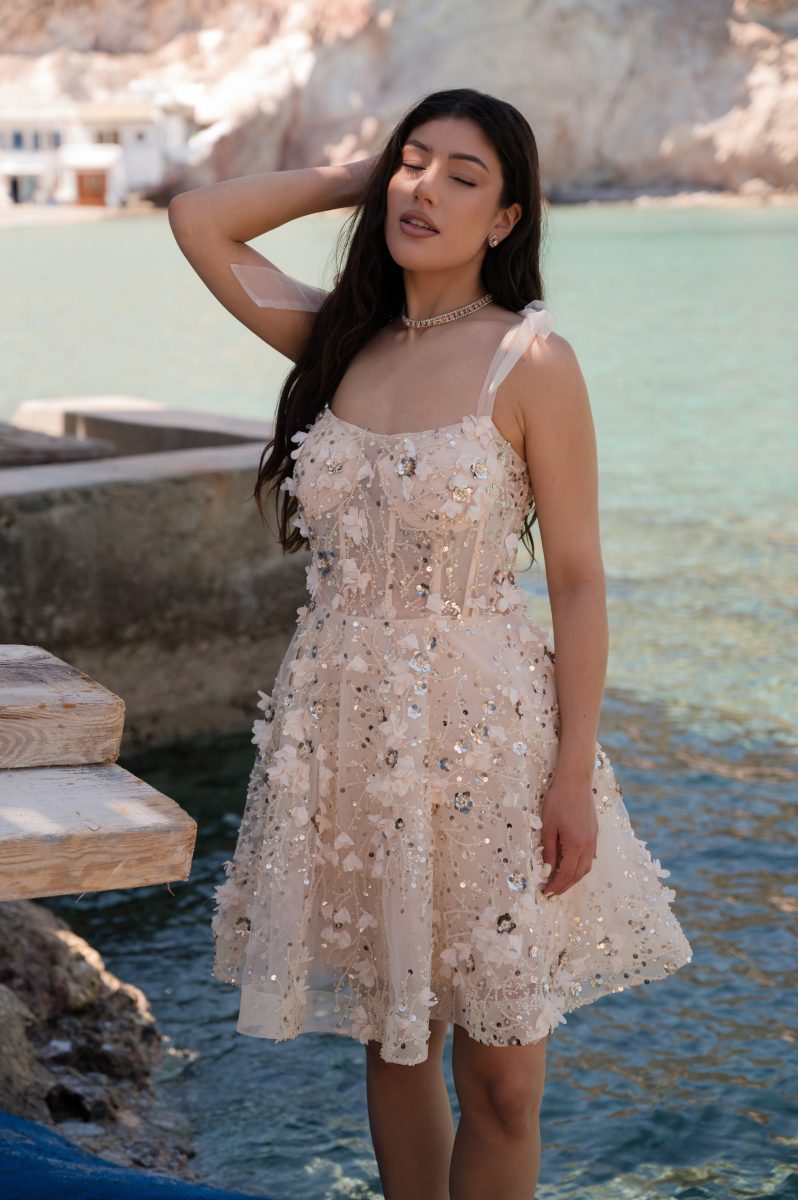 Mini Dress with Tulle & 3D Flowers – | Rich Girl Boudoir